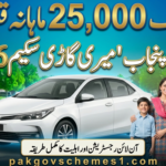 CM Punjab Meri Gari Scheme 2026