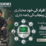CM Punjab Himmat Card