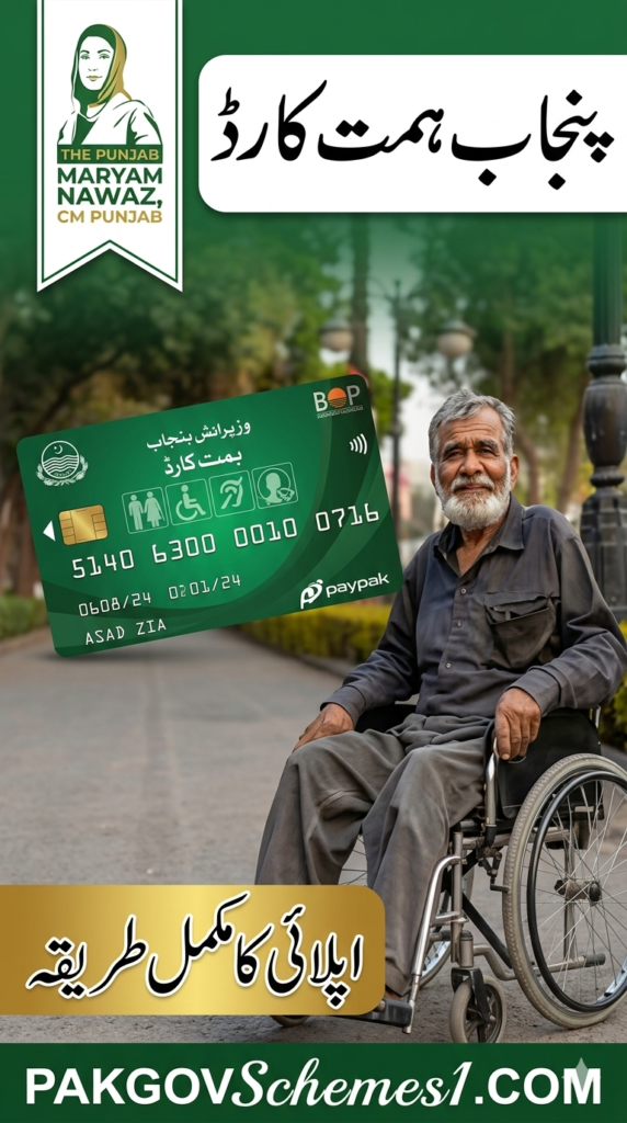 CM Punjab Himmat Card