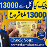 PM Ramzan Package 9999