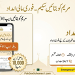 mkb.punjab.gov.pk