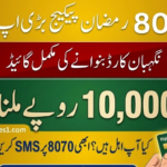 Ramzan Nigehban Card