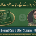 CM Punjab Rehmat Card
