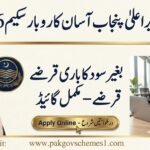 CM Punjab Assan Karobar Finance Scheme 2026