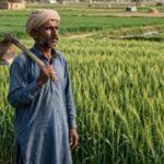 Kamyab Pakistan Program 2026 microloan components status guide
